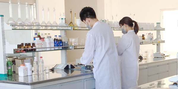 擁有專(zhuān)業(yè)的技術(shù)研發(fā)團(tuán)隊(duì)